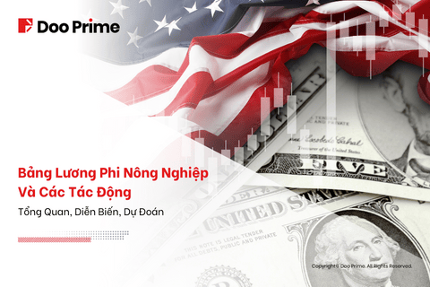 NFP Blog Cover